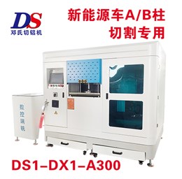 A/B柱數(shù)控切割端銑機(jī)DS1-DX1-A300